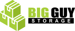 The Storage Manager